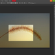 Imagen para el artículo titulado Si buscas un clon de Photoshop sin gastar dinero ni descargar software, Photopea es tu programa